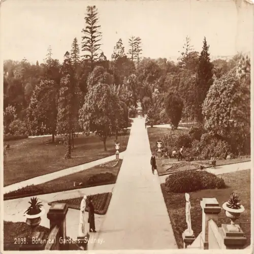 A684 Australia Botanical Gardens Sydney RPPC Vintage Postkarte