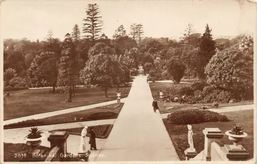 A684 Australia Botanical Gardens Sydney RPPC Vintage Postkarte