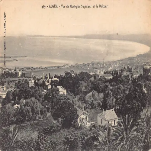 A684 Algerien Algier Vue de Mustapha Superieur et Belcourt Vintage Postkarte