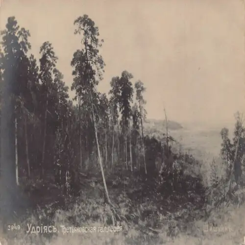 A684 Russland Kunst verloren - Tretjakow Galerie Wald Vintage Postkarte