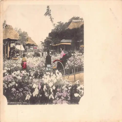 A687 Japan Tokyo Iris Blumengarten in Horikiri Rikscha Geishas Postkarte