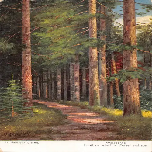 A688 Kunst von M Ruedisuehli Wald und Sonne Vintage Postkarte