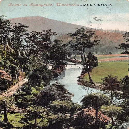 A664 Australien 1905 Victoria Szene in Sunnyside Warburton Vintage Postkarte