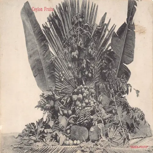 A665 Sri Lanka Ceylon Früchte Gesteck Vintage Postkarte