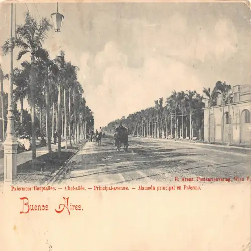 A666 Argentinien Buenos Aires 1904 Principal Avenue Kutsche Postkarte