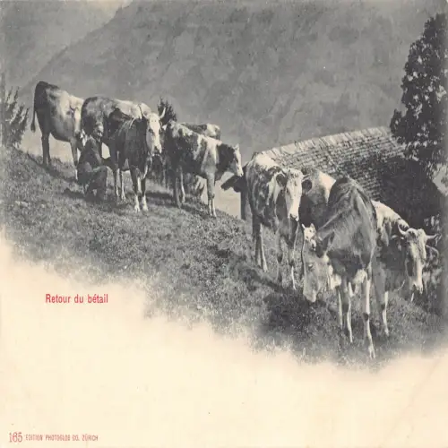 A695 Schweiz Retour du Betail Viehzüchter Bauer Vintage Postkarte