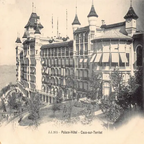 A695 Schweiz Palace Hotel Caux sur Territet Vintage Postkarte