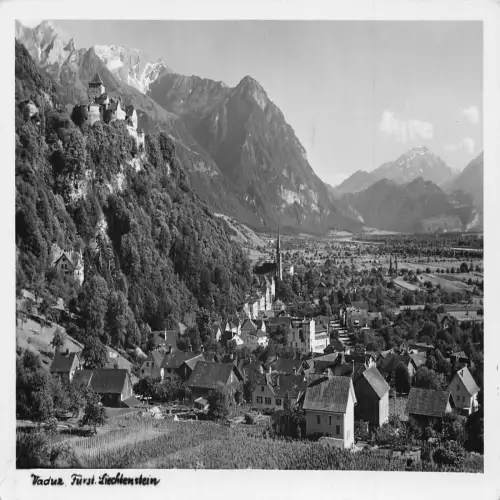 A695 Liechtenstein Vaduz Gesamtansicht RPPC Vintage Postkarte