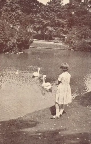 A696 Werbung 1937 Spa Hotel Buxton England Pavillon Garten Schwäne Postkarte