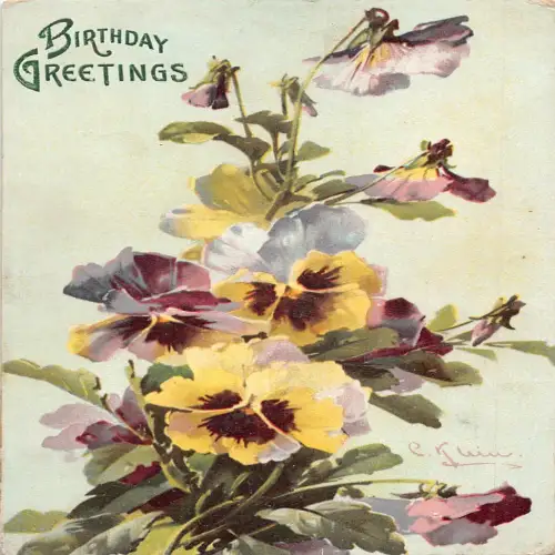 A699 Geburtstagsgrüße Bunte Primel Blumen Vintage Postkarte