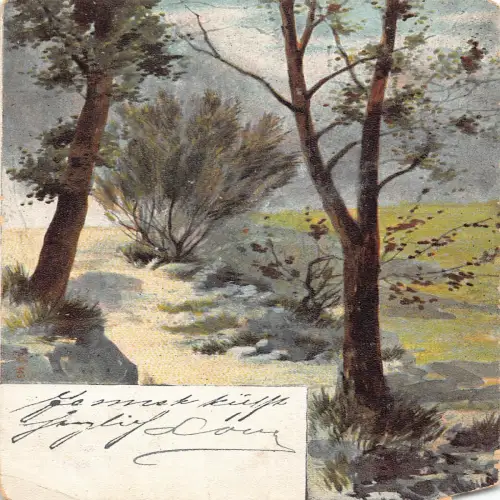 A705 Russische Kunst 1904 Landschaft Waldweg Bäume Litho Vintage Postkarte