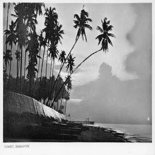 A708 Singapur Sonnenuntergang am Strand Vintage Postkarte