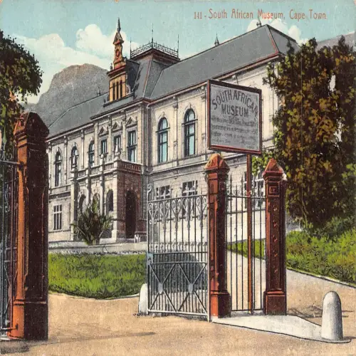 A709 Südafrika Südafrikanisches Museum Kapstadt Vintage Postkarte