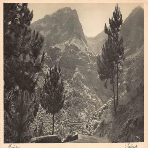 A710 Portugal Madeira Interieur Vintage Postkarte