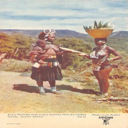 L477 Südafrika Natal Zulu Mutter und Kind ethnischer Maisverkäufer Postkarte