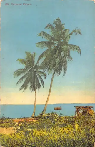 L477 Nigeria Kokospalmen Vintage Postkarte