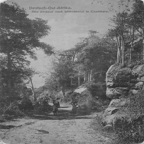 L477 Deutsch Ostafrika Lushoto Wilhelmstal Usambara Vintage Postkarte