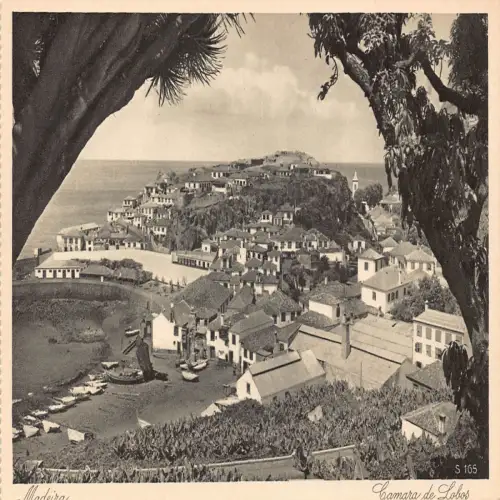 A711 Portugal Madeira Camara de Lobos Vintage Postkarte
