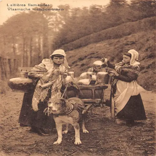 L477 Belgien Flämische Milchmädchen Hund Ziehwagen Kostüm Vintage Postkarte