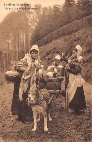 L477 Belgien Flämische Milchmädchen Hund Ziehwagen Kostüm Vintage Postkarte