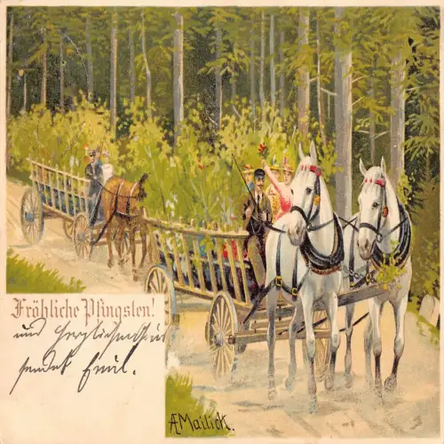 B124 Pfingsten 1903 weißer Pferdewagen mit Damen im Wald Eine Postkarte Post