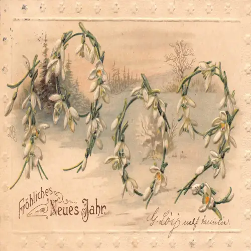 B132 Neujahrsgruß 1901 Schneeglöckchen Zahlen Schneeansicht geprägte Postkarte