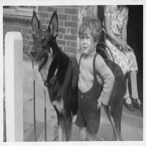 A724 Echt Foto Kind Junge umarmt Deutscher Schäferhund Vintage Postkarte
