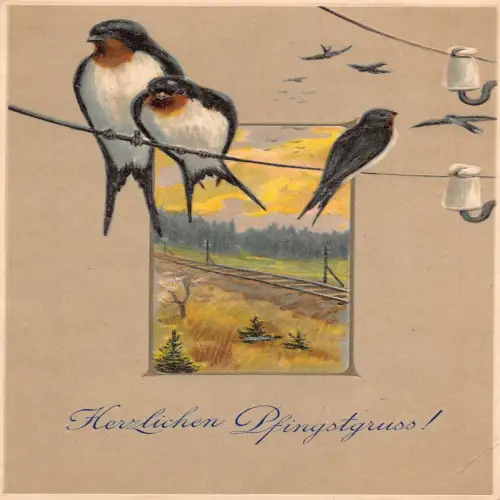 B133 Pfingstgrüße Schwalbe Vögel Eisenbahn Landschaft Prägepostkarte