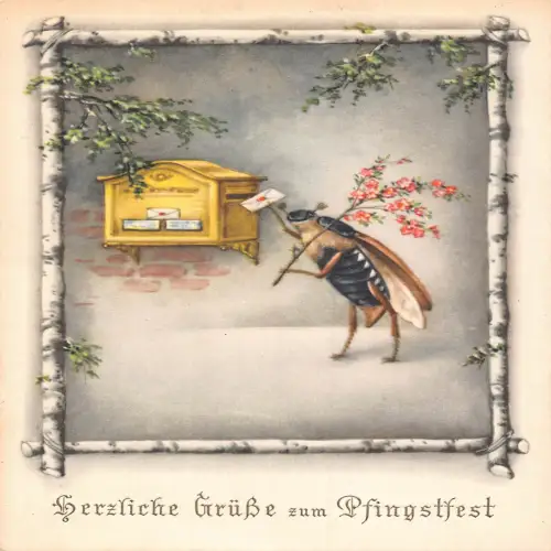 B134 Pfingstgrüße 1953 Humanisierter Käfer Briefkasten Blumen Postkarte