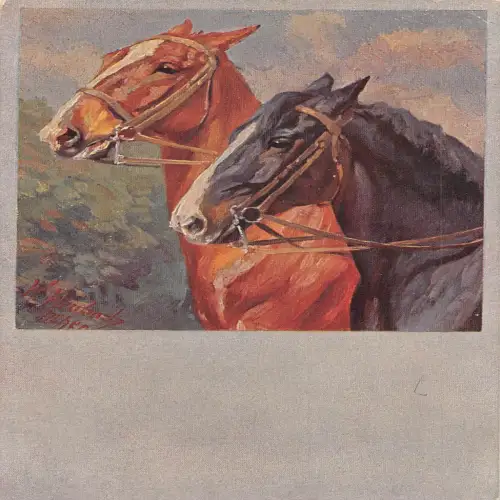 B135 Tiere 1917 braune und schwarze Pferde Kunst Vintage Postkarte