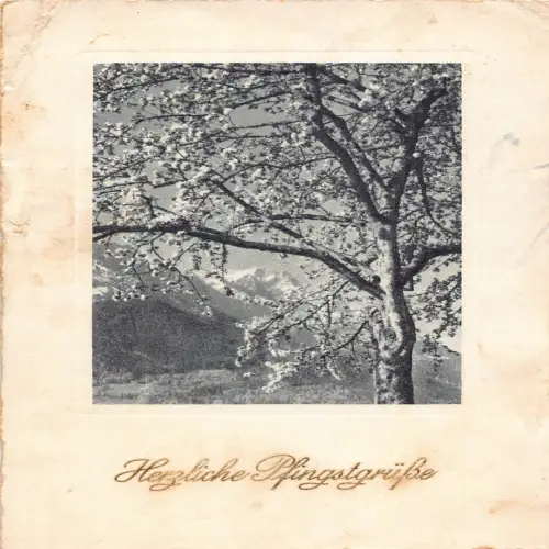 B134 Pfingstgrüße Passepartout Blüte Baum Blumen Vintage Postkarte