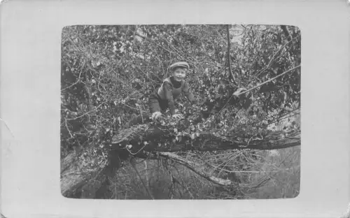 A725 Sozialgeschichte 1916 Passepartout Junge klettert Baum RPPC Postkarte