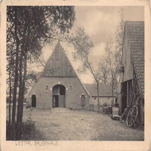 A728 Deutschland Westfal Bauernhaus Haus Vintage Postkarte