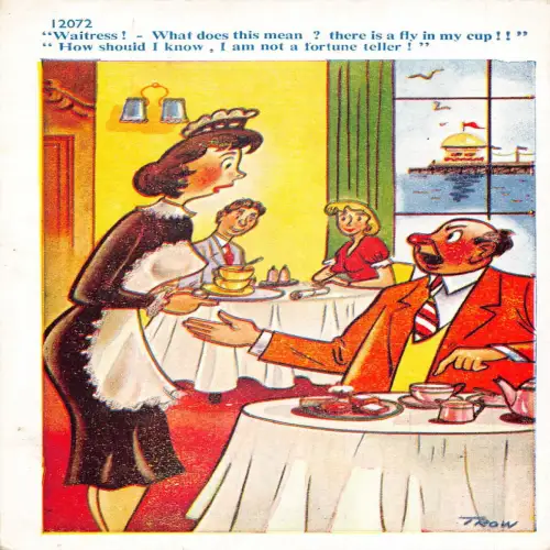 A735 Restaurant Comic Szene Kellnerin In meiner Tasse ist eine Fliege Vintage Postkarte