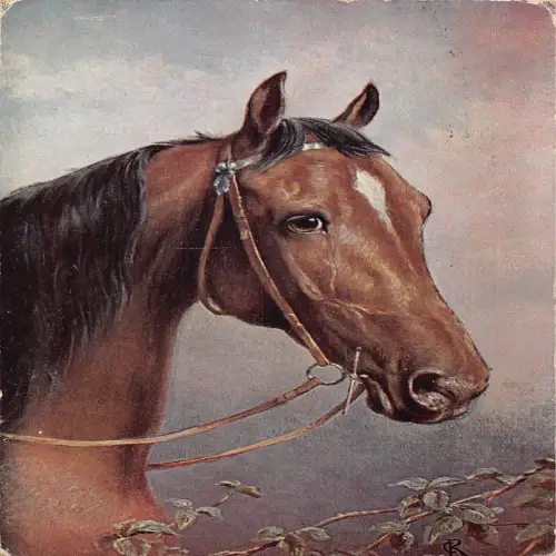 A735 Tiere Kopf Pferd 1924 Gebiss und Zaumzeug Serie Vintage Postkarte