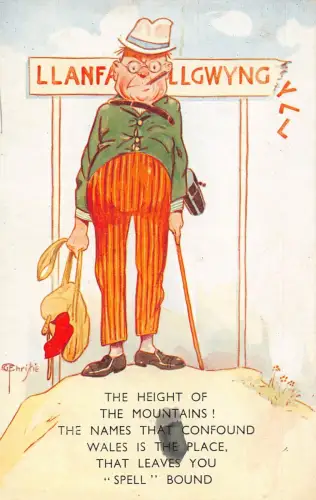 A735 Comic Humor Wales Stadtschild Mann raucht Zigarette Vintage Postkarte