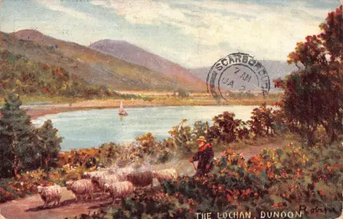 B141 Schottland 1909 The Lochan Dunoon Sheep Vintage Postkarte