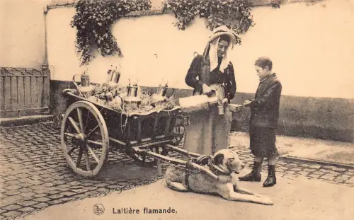 A752 Belgien Laitiere Flamande Flämische Milchmädchen Junge Mastiff Hundewagen Postkarte