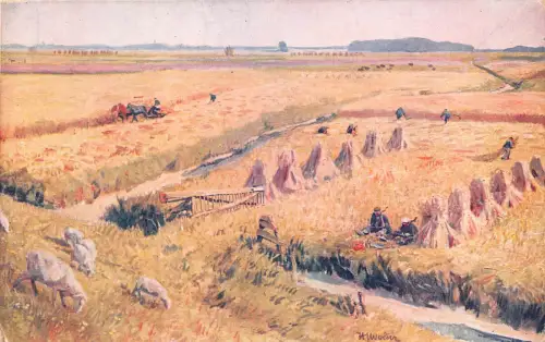 A754 Niederlande Kunst Groeningen Umgebung Landwirtschaft Heuernte Postkarte