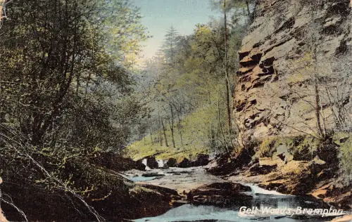 B143 England 1922 Gelt Woods Brampton Vintage Postkarte