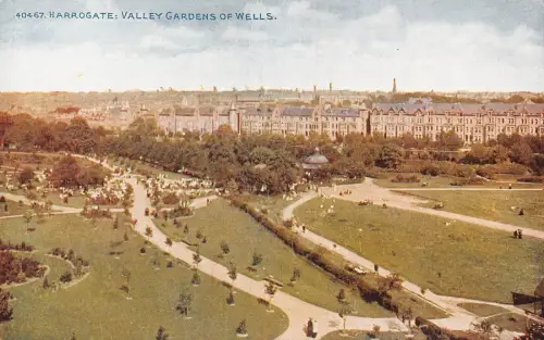 L241 England Harrogate Valley Gardens of Wells Vintage Postkarte