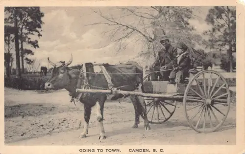 A875 US Camden South Carolina Going to Town Ox Cart Bauern Vintage Postkarte