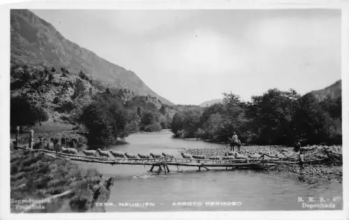 A877 Argentinien Terr Neuquen Arroyo Hermoso Schafe überqueren Brücke RPPC Postkarte