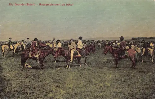 L248 Brasilien Rio Grande (Brésil) Rassemblement du bétail Vintage Postkarte