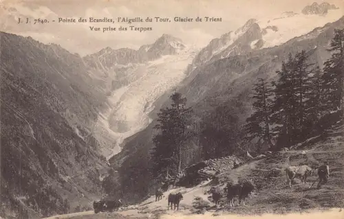 Schweiz Pointe des Ecandies l'Aiguille du Tour Glacier De Trient Postkarte