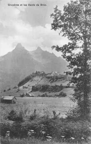 Schweiz Gruyeres et les Dents de Broc Vintage Postkarte