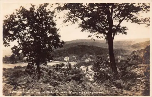 L053 Deutschland Luftkurort Falkenberg Blick Karlsburg Vintage Postkarte