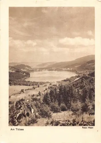A083 Deutschland Am Titisee Waldsee Vintage Postkarte