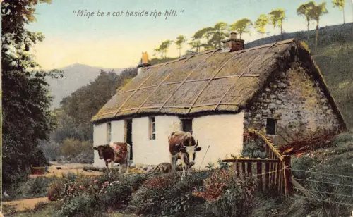 A719 Landschaft 1907 Mine sei ein Kinderbett neben dem Hügel Viehfarm Postkarte