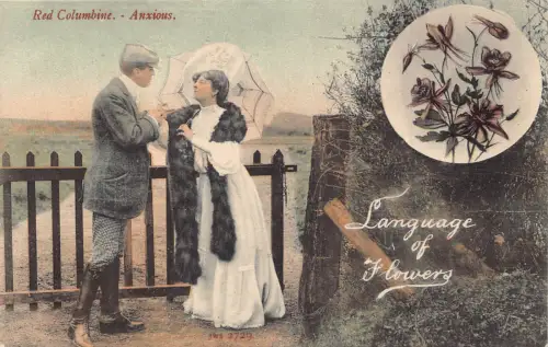 A729 Sprache der Blumen Liebe Romantik Paar Red Columbine Angst Postkarte